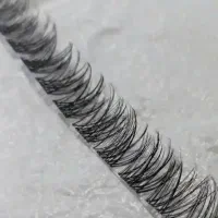 مژه ریسه ای مژه فیشر