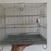 قفس پرنده