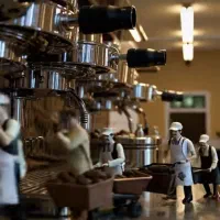 کارشناس فروش ( فروشنده )