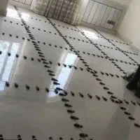 چسب،کاشیکاری|خدمات پیشه و مهارت|ارومیه, |دیوار