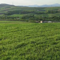 فروش یک قطعه زمین به متراژ تقریبی ۱۴۰۰۰ متر