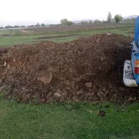 فروش کود گوسفند