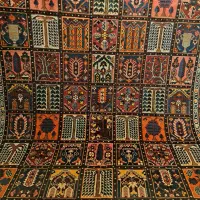 بختیاری  ۹  نقشه درخت کاج