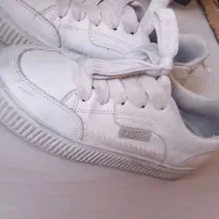 کفش سامبا نو|کیف، کفش، کمربند|تایباد, |دیوار