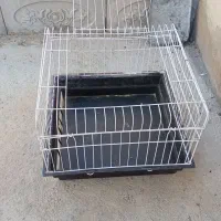قفس خرگوش