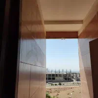 سگ ماده پیدا شده