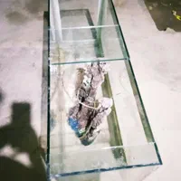 آکواریوم