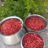 رب انار محلی|خوردنی و آشامیدنی|رباط‌کریم, الارد|دیوار