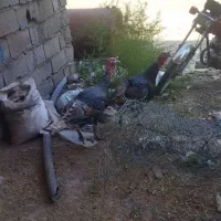 بوقلمون|حیوانات مزرعه|دوزین, |دیوار