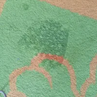 دو عدد فرش قدیمی و زخیم جفت باهم 500|گلیم، جاجیم، گبه|مشهد, امیریه|دیوار