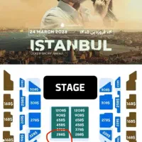 بلیط کنسرت معین