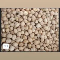 عمده فروشی در ملایر