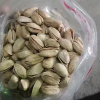 پسته پاک شده|حراج|قم, شهرک مهدیه|دیوار