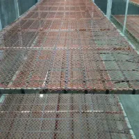 فروش وسایل سالن قارچ وگلخانه|ماشین‌آلات صنعتی|جهرم, |دیوار