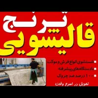 قالیشویی بزرگ و درجه ۱ ترنج