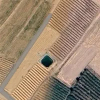 باغ انگور