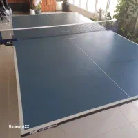 میز پینگ پنگ کورنلیو باترفلای دونیک