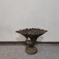 طاووس گچی