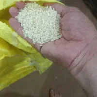 پخش عمده برنج عنبر بو شوشتر|خوردنی و آشامیدنی|اهواز, کوی مهدیس|دیوار