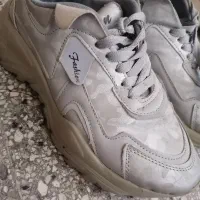 کفش|کیف، کفش، کمربند|تربتحیدریه, آسایش|دیوار