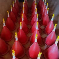 دانه خوری و آب خوری