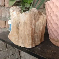 سنگ اکواریوم|ماهی|بروجرد, |دیوار