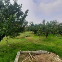 ویلا باغ ۲۰۰۰ متری /سند و جواز ساخت/یه ربع تا ساحل|فروش خانه و ویلا|سرخرود, |دیوار