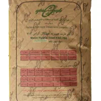 بذر ذرت 704