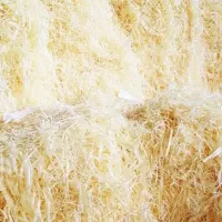 فرست شغلی بی نظیر با 250میلیون