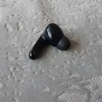 پیدا شده در پارک طلوع