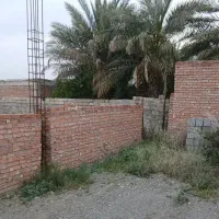 زمین