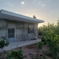 باغ-فروشی