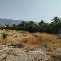 زمین-با-درب-و-دیوار-تیون
