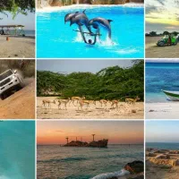 تور کیش / تور مشهد / تور قشم