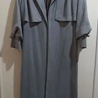 پالتو