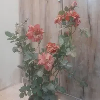 دو عدد گل وگلدان مصنوعی|گل مصنوعی|اهواز, خیابان ۳۰ متری|دیوار