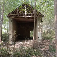 باسلام فروشزمین باغی ،مناسب کاشت صنوبر و‌کشاورزی