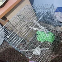 2 عدد قفس مرغ عشق طوطی