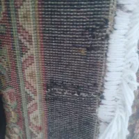 فرش۹متری۵۰۰شانه باتراکم۱۲۰۰(زمرد مشهد)|فرش|کرمانشاه, |دیوار