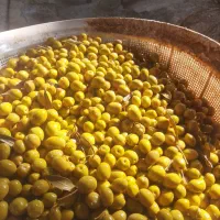 پخش عمده  زیتون در سراسر کشور