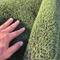 چمن مصنوعی  نو و کارکرده|مصالح و تجهیزات ساختمان|مشهد, حجاب (شهرک غرب)|دیوار