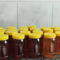 آب لیمو ، عسل ،رب گوجه|خوردنی و آشامیدنی|شیراز, دارالرحمه|دیوار