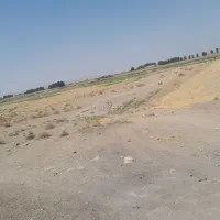 زمین کشاورزی به متراژ۵۰۰۰مترباسندومدارک کامل|فروش زمین و ملک کلنگی|قرچک, داوود آباد|دیوار