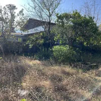 ۲۴۵۰ مترمربع بَرِ اتوبان اصلی ۲ کله تراکم ۱۰ طبقه|فروش زمین و ملک کلنگی|رامسر, |دیوار