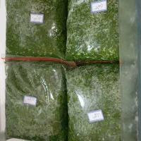 انواع سبزی|خوردنی و آشامیدنی|اهواز, سپیدار|دیوار