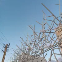 حفاظ شاخ گوزنی