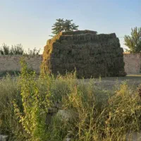 یونجه درجه یک ۲۷۰ عدد