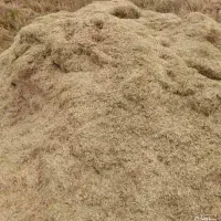 کاه ماش درجه یک