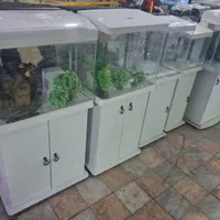 اکواریوم  شیشه خم