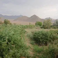 یک-ساعتونیم-اب-و5000مترمربع-زمین
